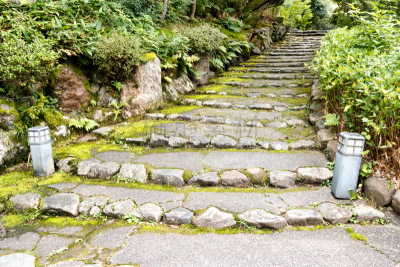 京都府,日本,石材,楼梯,公园,京都市,2015年,夏天,户外,东山区