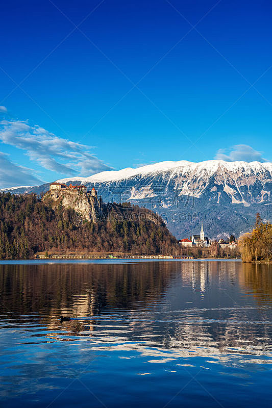 布雷德湖,冬天,斯洛文尼亚,自然美,日光,白昼,戈雷尼,垂直画幅,水