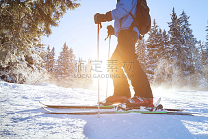 滑雪雪橇,滑雪运动,滑雪杖,滑雪坡,滑雪度假,四肢,雪,腿,仅男人