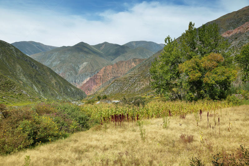 阿根廷,山脉,扑那,萨尔塔省,河床,旅途,太平洋岛屿,河流,岩石,2015年