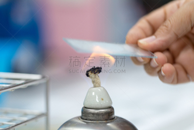 实验室,化学制品,装管,科学实验,碳水化合物,制服,生物化学,工业,白色,茎