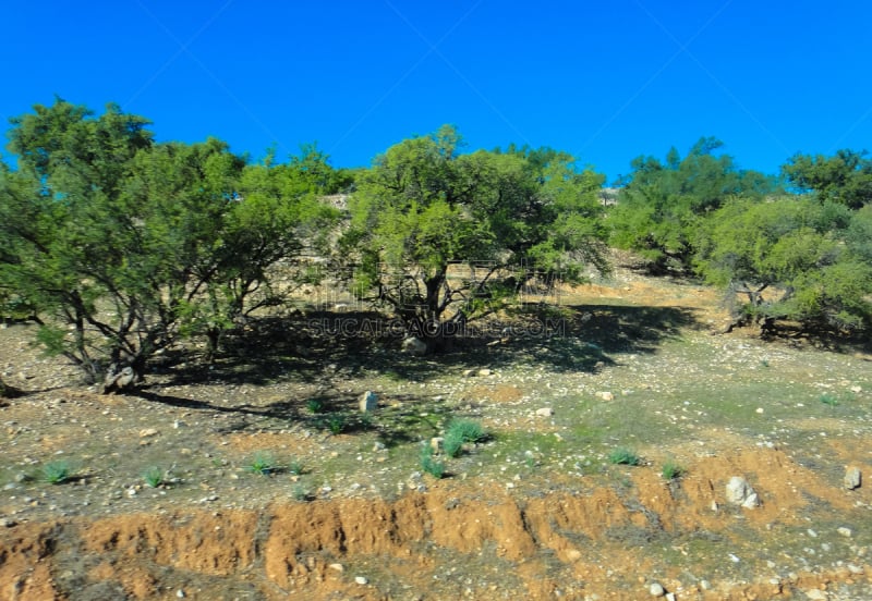 阿加迪尔（摩洛哥西南港口城市）,索维拉城,路,摩洛哥,在之间,western sahara,自然,天空,巴士,水平画幅