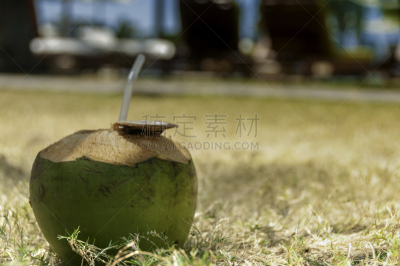 琵琶,椰子溪,海滩,水平画幅,绿色,无人,墨西哥湾沿岸国家,椰子,户外,哥斯达黎加