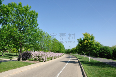 景观设计,路标,街道,林荫大道,天空,留白,水平画幅,郊区,无人,路