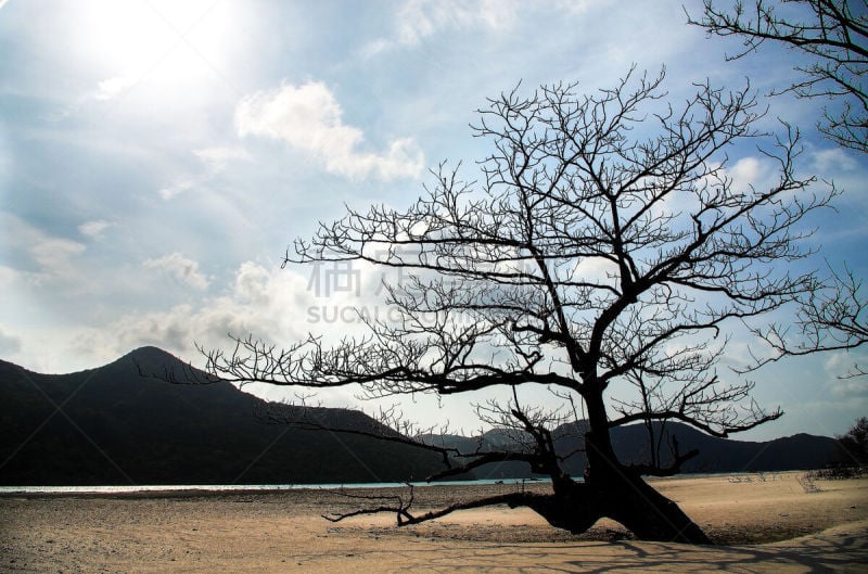 头顿半岛,天空,水平画幅,地形,沙子,蓝色,户外,活力,非凡的,海洋