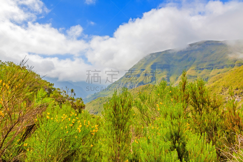 马德拉,自然,地形,绿色,气候,水平画幅,山,无人,大西洋,大西洋群岛