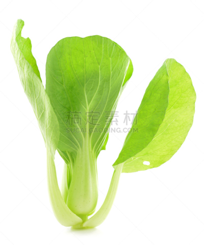 油菜,分离着色,白色,胡青,浮冰,牛皮菜,芜菁,垂直画幅,有机食品,油菜科