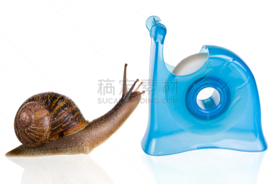 蜗牛,水平画幅,可爱的,缓慢的,浪漫,背景分离,幽默,触角,容器,胶带