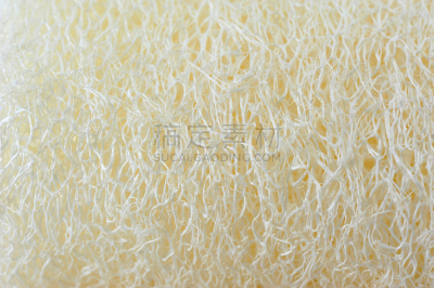 丝瓜,纹理,自然,式样,水平画幅,健康,彻底洗刷,海绵,粗糙的,去角质