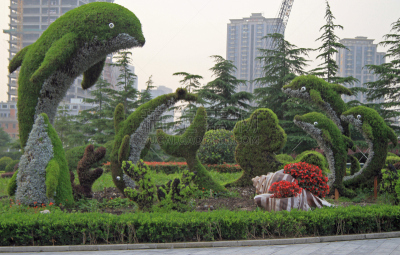 海豚,上海,华丽的,少量物体,草坪,东亚人,公园,哺乳纲,草,烟雾
