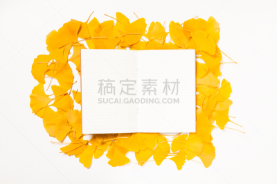 银杏,叶子,空白的,纸,背景,边框,水平画幅,消息,无人,叶脉