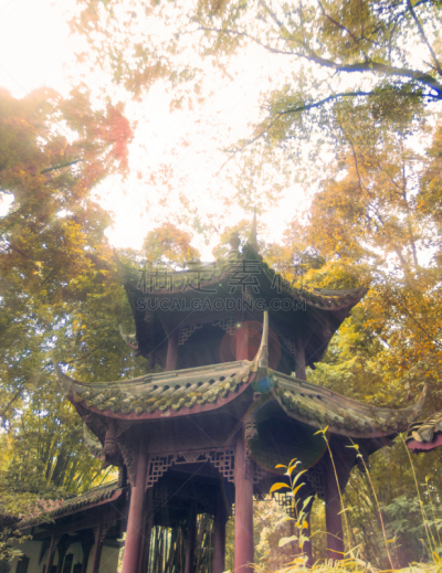 过去,亭台楼阁,唐朝,成都,四川省,垂直画幅,公园,无人,古老的,户外