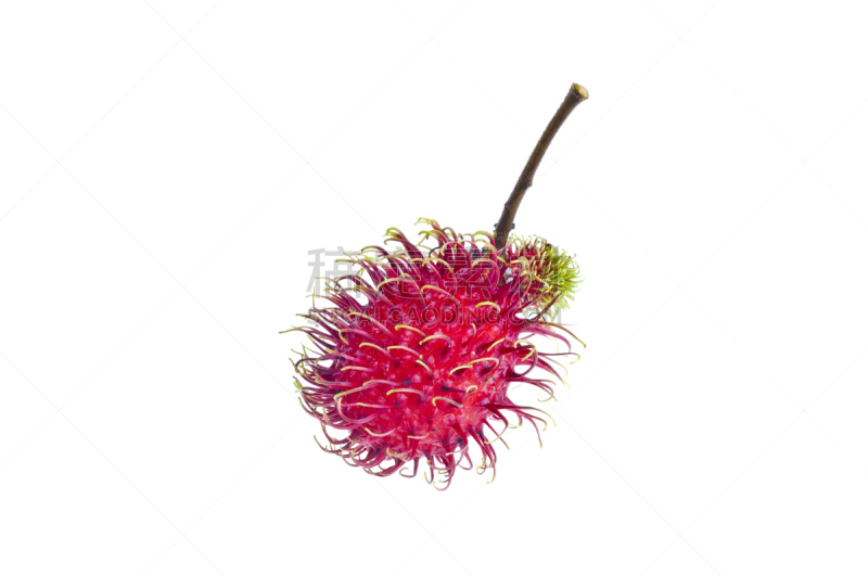 红毛丹,水平画幅,水果,无人,有机食品,熟的,特写,泰国,甜点心,红色