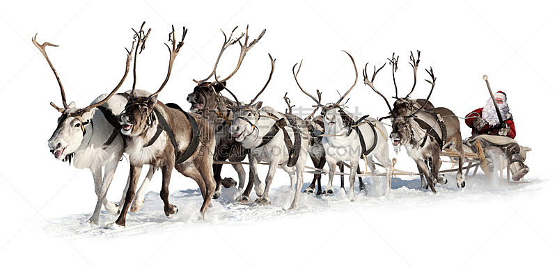 圣诞老人,动物雪车,水平画幅,牛车,雪,兽力车,交通方式,仅男人,仅成年人