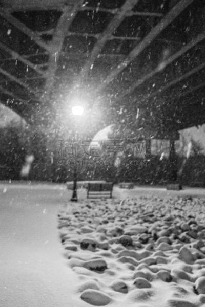 冬天,阿灵顿,垂直画幅,宁静,美国,灰色,雪,维吉尼亚,无人,散焦