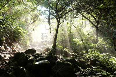光束,水平画幅,无人,照明设备,天篷,光,茂物,西爪哇,印度尼西亚,摄影