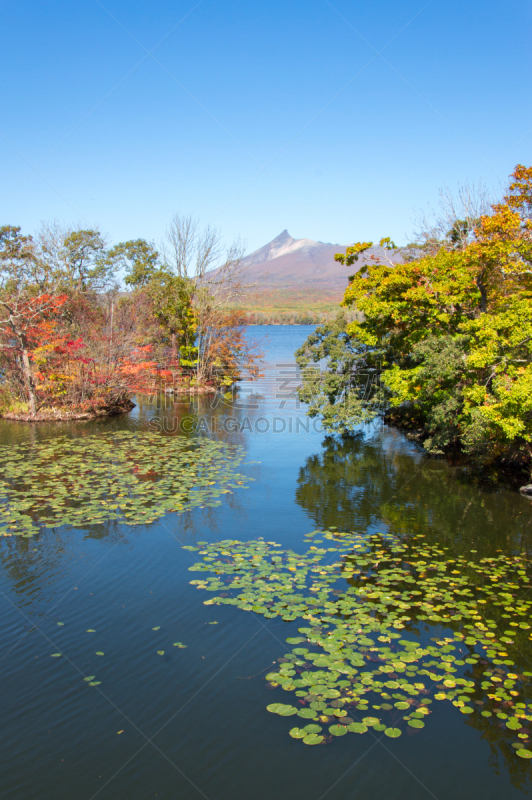 山,全景,日本,北海道,甲斐驹岳山,股票,图像,垂直画幅,水,美