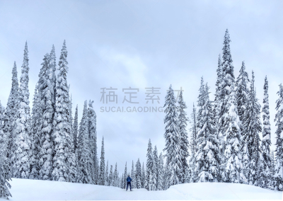 雪,滑雪雪橇,北欧,白昼,基劳纳,巨大的,滑雪场,白色,公元前,度假胜地