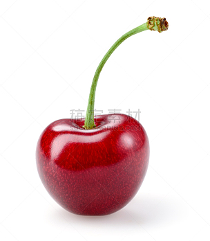 欧洲酸樱桃,白色背景,分离着色,清新,一个物体,背景分离,食品,浆果,熟的,樱桃