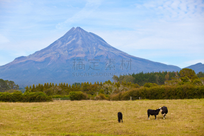 新西兰,塔拉纳基山,天空,枝繁叶茂,雪,夏天,饮料,草,戏剧性的景观,乳牛场