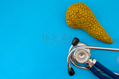 健康保健,听诊器,人类腺体,胰腺,概念,内分泌系统,模型,蓝色背景,摄影,学习