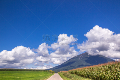 山,雪,二世谷,早晨,夏天,羊蹄山,彩色图片,黎明,有珠山,风景