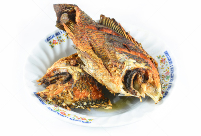 罗非鱼,盘子,鱼类,白色,裹面包屑,餐具,水平画幅,膳食,海产,淡水