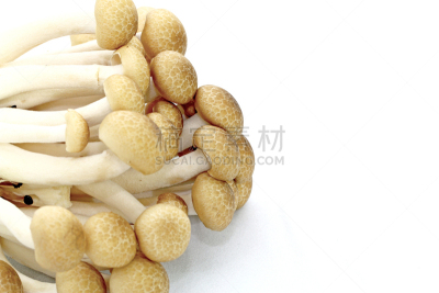 食用菌,白色背景,分离着色,姬菇,褐色,水平画幅,素食,生食,组物体,东方食品