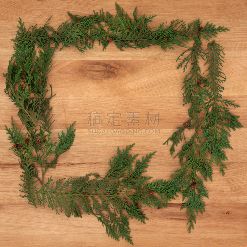 柏树,雪松,国境线,橡树,自然,边框,绿色,枝繁叶茂,木制,无人