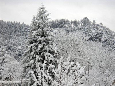 塞文山区,水平画幅,山,雪,无人,南,河流,户外,法国,加尔德