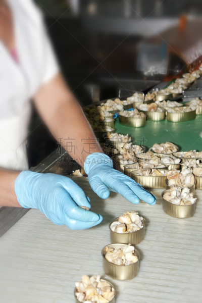 软体动物,手,装入罐中,职业,速度滑冰,工厂,铝,海产,金属,仅成年人