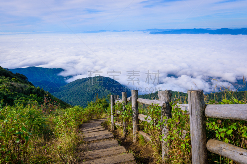 泰国,小路,风景,清迈省,雾,自然,空中走廊,海洋,木制,邱园