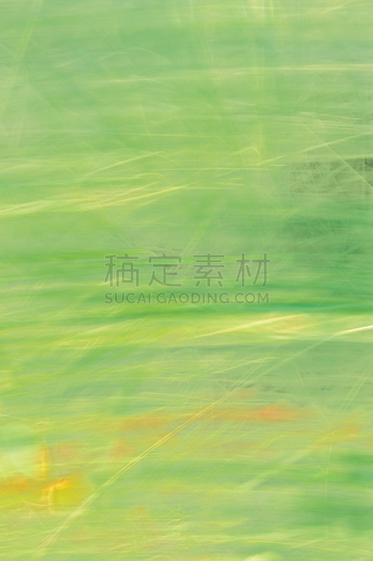 垂直画幅,留白,草,背景,夏天,运动模糊,纹理效果,无人,户外,行动