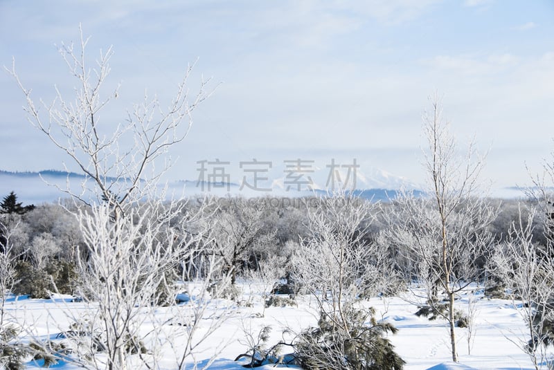 雪地,山,日本,北海道,长春花属,弟子屈,城镇,斜里岳,阿肯国家公园,雾淞