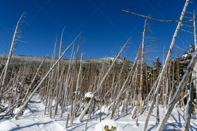 冬天,死亡乐队,自然,水平画幅,地形,巴岳山,长野县,无人,日本,户外