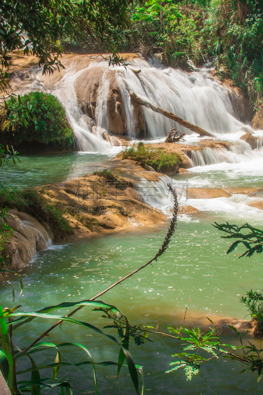 agua azul cascades,恰帕斯州,自然,垂直画幅,野生动物,瀑布,无人,夏天,户外,湖