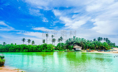 斯里兰卡,风景,坦加勒,几乎,泻湖,秘密,怪异,曙暮光,热带气候,野生动物