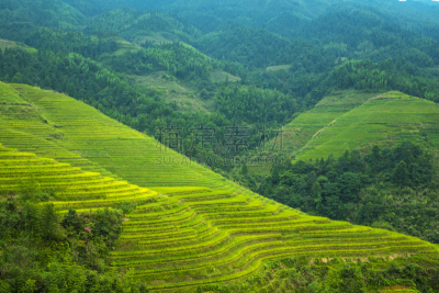 中国,梯田,龙胜,龙脊梯田,农业,桂林,锥形帽,食品,米,著名景点