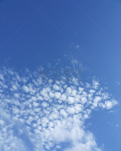 美洲豹,垂直画幅,天空,风,气候,动物嘴,夏天,明亮,白色,高处