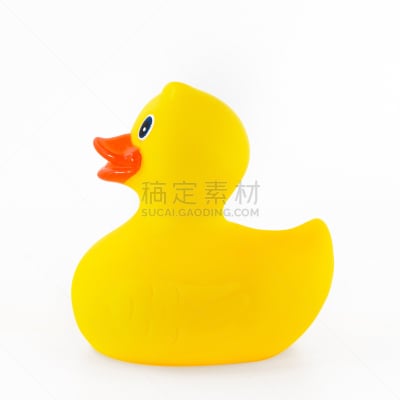 黄色,橡皮鸭子,小鸭子,进行中,符号,鸟类,卫生间,塑胶,干净,白色