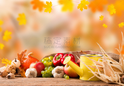 秋天,概念,水平画幅,研磨食品,南瓜,泥土,户外,移植手术,莴苣,铲子