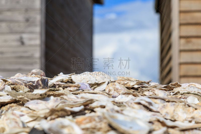 牡蛎,自然,选择对焦,水平画幅,贝壳,无人,whitstable,户外,特写,前景聚焦