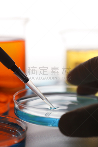科学,生物科技,皮氏培养皿,垂直画幅,科学实验,科学家,吸液管,研究,摄影
