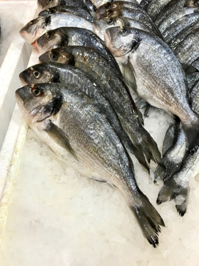冰,鱼类,市场,生食,伊斯坦布尔,接缝,海鲷,清新,食品,死的