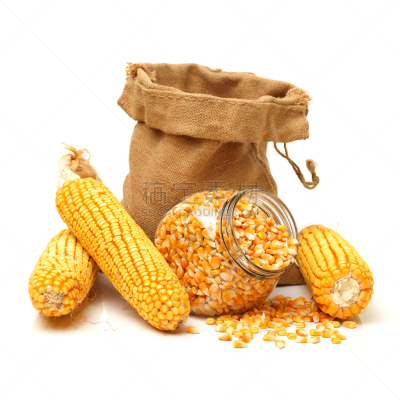 老玉米,仁,玉米,甜玉米,留白,饮食,无人,生食,白色背景,背景分离