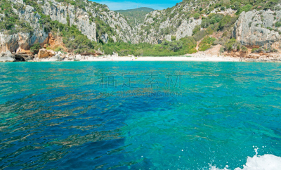 白色,青绿色,水,水平画幅,沙子,无人,夏天,植物,海滩,卡拉国诺呢