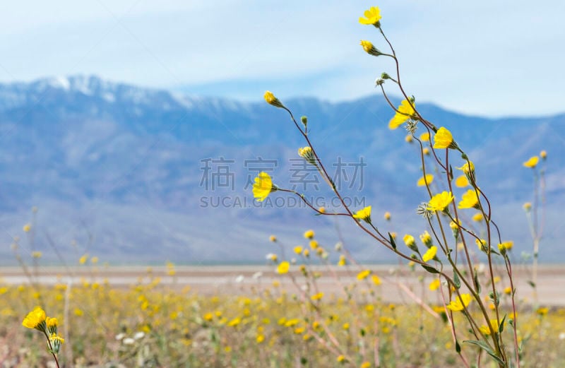 花头,火炉溪,人情趣味,天空,水平画幅,无人,户外,北美,彩色图片,自然