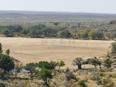 林波波省,猴面包树,南非,金合欢树,河流,沙漠,辫状,悬崖