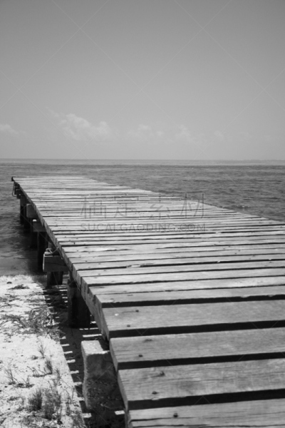 码头,月亮,ambergris caye,珊瑚礁,伯利兹,垂直画幅,海滩,热带气候,无人,户外