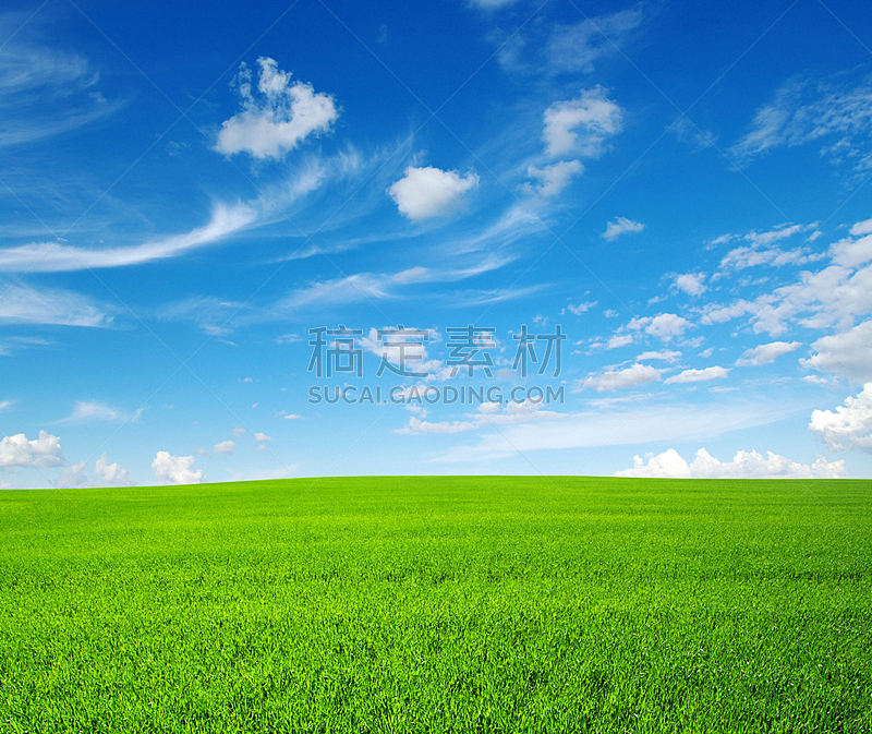 田地,天空,美,水平画幅,枝繁叶茂,山,无人,草坪,夏天,户外